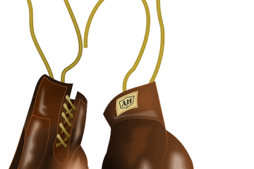 ボクシンググローブ_brown