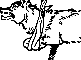 骨折したウルフ