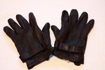 gloves