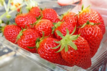 strawberry
