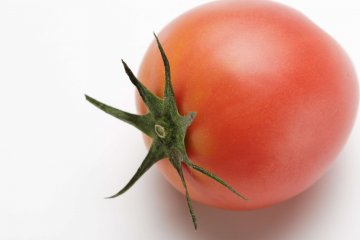 力石は一日トマト一個